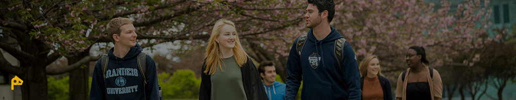 اهمیت دانشگاه و معدل در رزومه