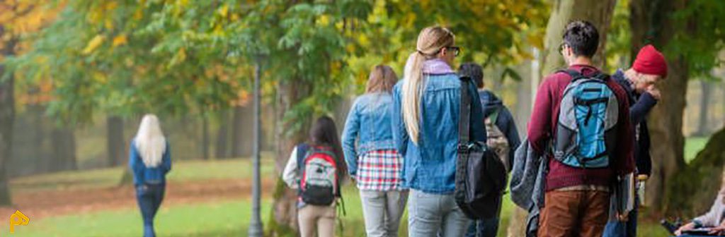 بورسیه دکتری برق هلند