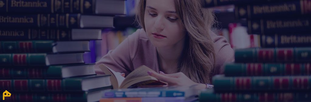 فاند دکتری و پسادکتری هلند