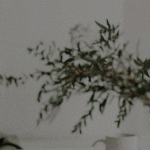 نحوه گرفتن توصیه نامه از اساتید